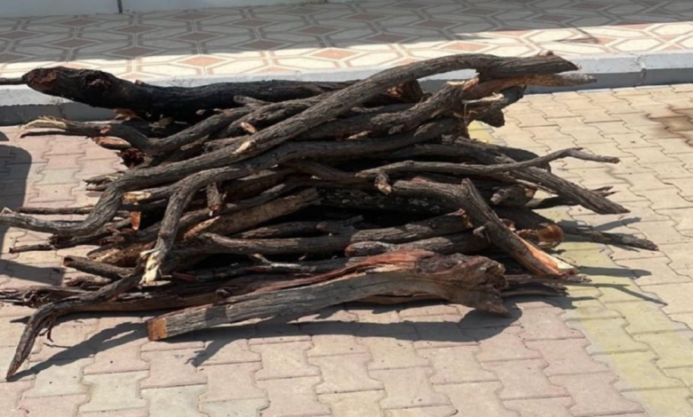 ضبط مخالف بحائل يبيع حطب محلي: جهود حماية البيئة