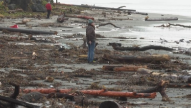 عاصفة كاليفورنيا: طوارئ وتحذيرات من فيضانات "قطار الأناناس"