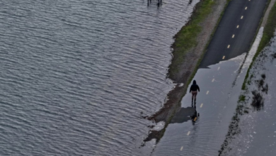 إعلان الطوارئ في لوس أنجلوس بسبب فيضانات قطار الأناناس