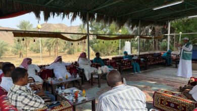 وقاء يحمي طماطم الجموم من فيروس التجعد البني بورشة متخصصة