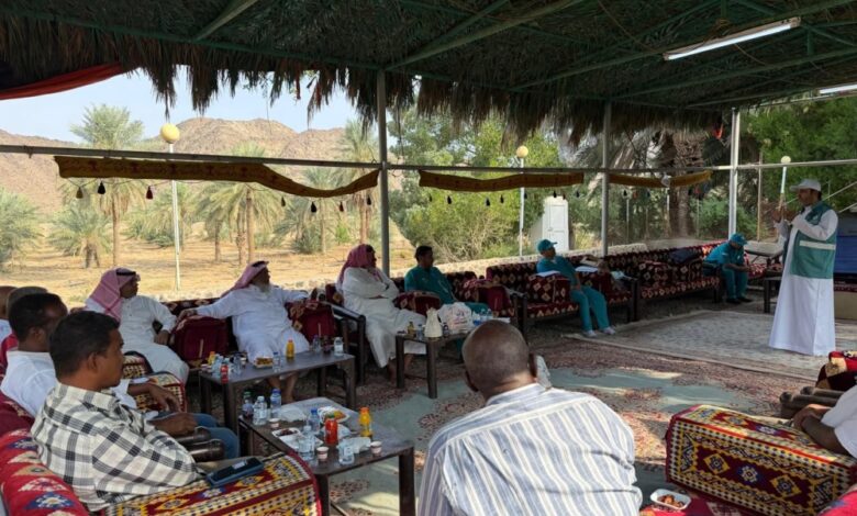 وقاء يحمي طماطم الجموم من فيروس التجعد البني بورشة متخصصة