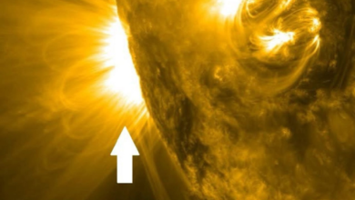 فلكية جدة: عودة بقعتين شمسيتين للواجهة خلال 48 ساعة