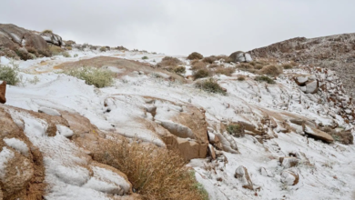 الأرصاد: 10 تحت الصفر أدنى حرارة بالسعودية خلال 4 عقود