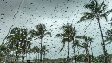 طقس المدينة المنورة: تنبيهات من أمطار ورياح نشطة حتى المساء