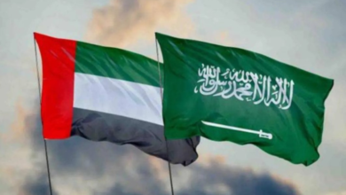 الإمارات تدعم جهود السعودية لاستقرار اليمن واحتواء توتر حضرموت