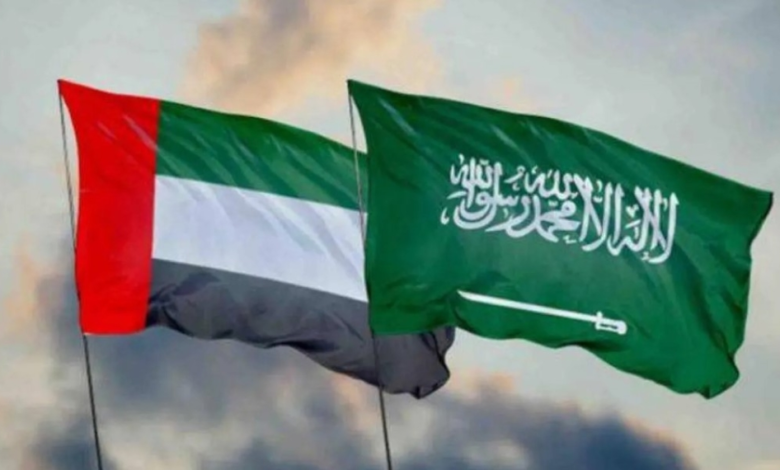 الإمارات تدعم جهود السعودية لاستقرار اليمن واحتواء توتر حضرموت