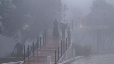 طقس السعودية: أمطار وغبار وضباب يضرب معظم المناطق