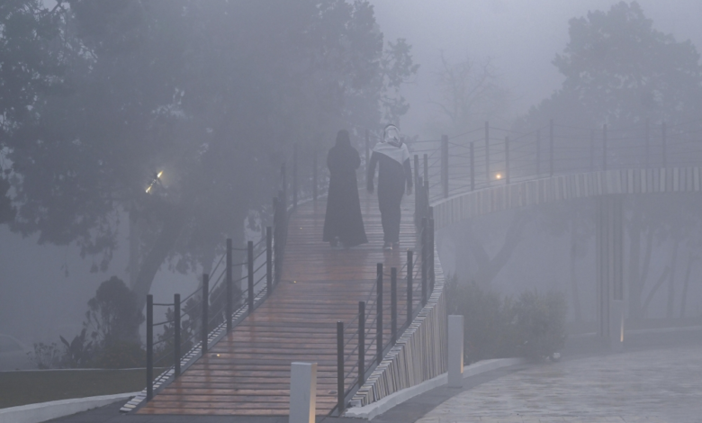 Saudi Arabia weather: Rain, dust, and fog hit most regions