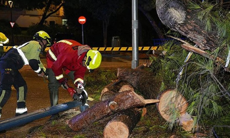 فيضانات مالقة تغمر القرى وتستنفر جنوب إسبانيا