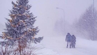 عاصفة السويد: 3 قتلى وآلاف المنازل بلا كهرباء وسط دمار واسع