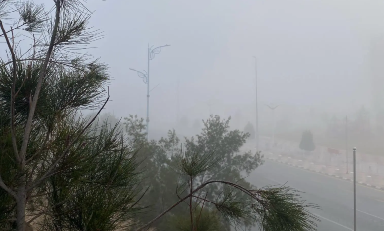 طقس السعودية: موجة باردة تحت الصفر تضرب الحدود الشمالية