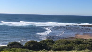 حالة الطقس اليوم: عواصف ترابية وأمطار في السعودية