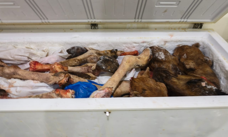 أمانة جدة تتلف 4.5 طن لحوم فاسدة وتغلق مواقع مخالفة