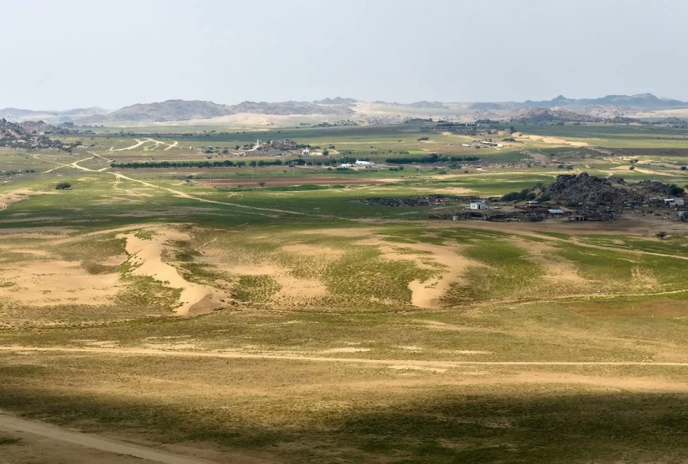 الغطاء النباتي في عسير