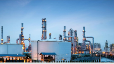 وزارة الاستثمار: ضوابط جديدة للمفتشين وحظر الهدايا