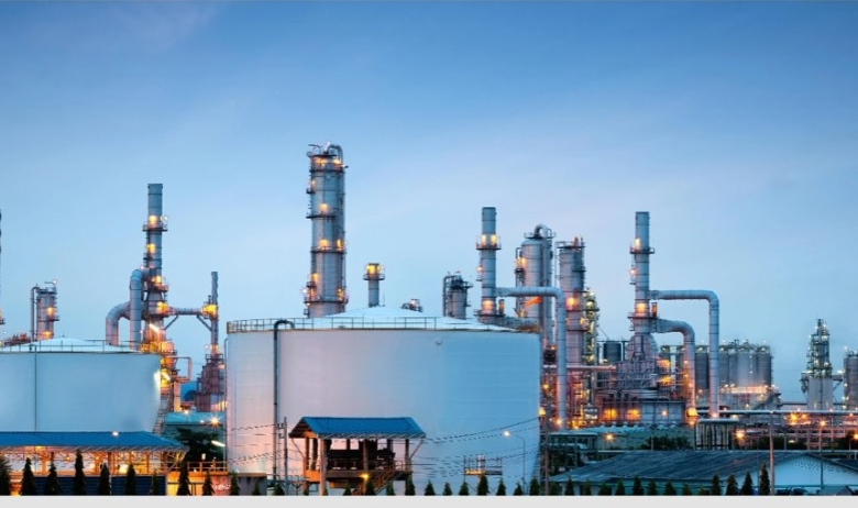 وزارة الاستثمار: ضوابط جديدة للمفتشين وحظر الهدايا