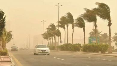 طقس حائل اليوم: الأرصاد تحذر من رياح شديدة وتدني الرؤية