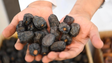 الصناعات التحويلية الزراعية: استثمار وفرة الشتاء والأمن الغذائي