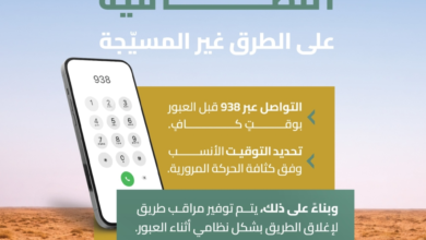 الهيئة العامة للطرق: تنسيق عبور الإبل عبر 938 لسلامة الطرق