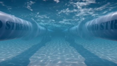 فنلندا تحقق في تضرر كابل بحري: اعتراض سفينة في البلطيق