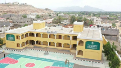 مشاريع السعودية في أبين: تنمية مستدامة ودعم للاستقرار