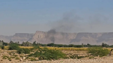 الزبيدي يلوح بالانفصال بسبب معسكرات حضرموت