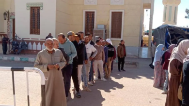 Egypt's longest parliamentary elections conclude amid reports of irregularities