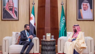 Talks between the Saudi Crown Prince and the Syrian President on regional developments