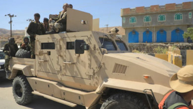 العليمي: وحدة المجتمع الدولي حمت الدولة اليمنية من الانهيار