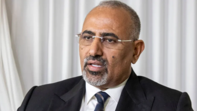 Al-Zubaidi's expulsion and the charge of high treason: The full story