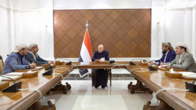 العليمي: تحركات الجنوب تعيد الاعتبار للدولة ومؤسساتها