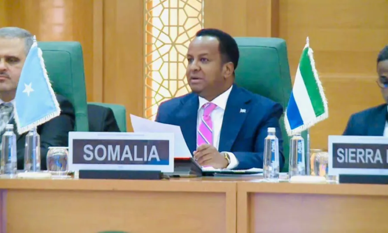 Somali Foreign Minister warns against recognizing breakaway regions