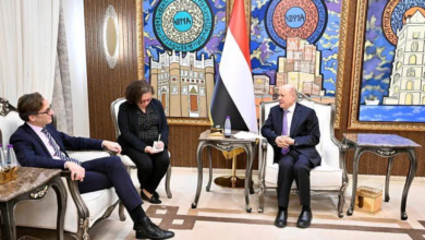 العليمي: دعم الميليشيات يغذّي الإرهاب ولا يقضي عليه