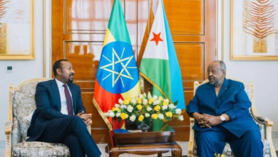 Abiy Ahmed's visit to Djibouti: Dimensions of the maritime access crisis and the Horn of Africa