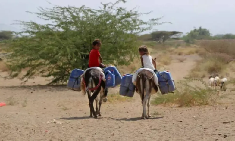 Yemen's children's crisis: A humanitarian catastrophe threatening an entire generation