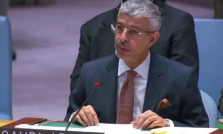 Saudi Arabia emphasizes the importance of Yemeni unity in achieving stability