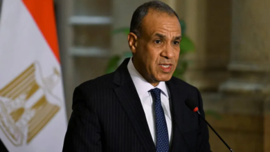 عبد العاطي يؤكد دعم مصر لمؤسسات لبنان واستقراره الأمني