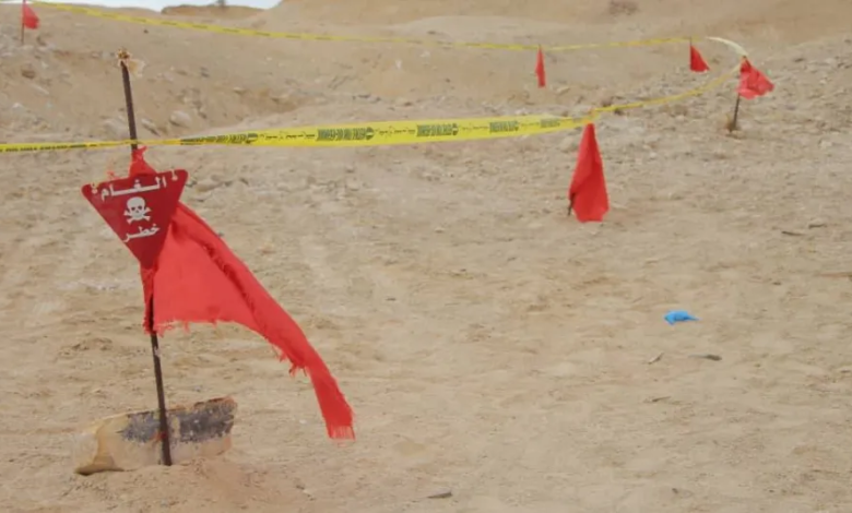 Project Masam clears one million square meters of mines in Yemen in 18 days