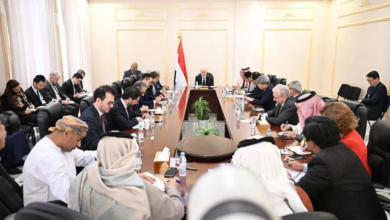 العليمي: إنجازات أمنية وخدمية في اليمن بدعم سعودي مباشر