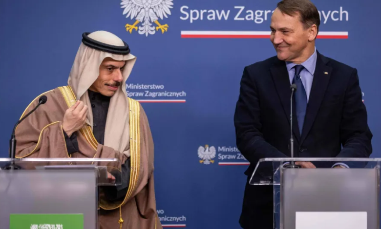 فيصل بن فرحان: العلاقات السعودية الإماراتية صمام أمان للمنطقة