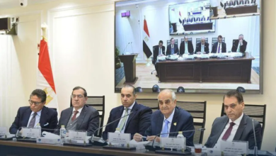 Parliamentary division over increasing penalties for electricity theft in Egypt