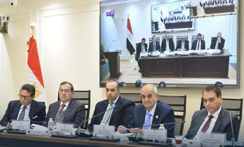 Parliamentary division over increasing penalties for electricity theft in Egypt