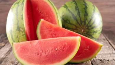 لماذا يحذر خبراء التغذية اللاعبين من تناول البطيخ قبل المباريات؟