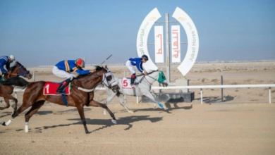 نتائج سباق فروسية الجبيل وتأهل الجياد لكأس أبطال الميادين