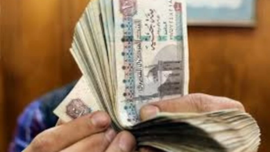 سعر الريال السعودي اليوم في مصر مقابل الجنيه في البنوك