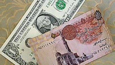 سعر الدولار مقابل الجنيه اليوم: ارتفاع مفاجئ ومؤشرات قوية