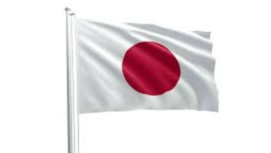 Japan to bring in 1.23 million foreign workers: Details of the plan and required professions
