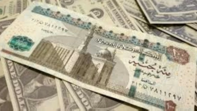 سعر الريال السعودي اليوم في مصر مقابل الجنيه المصري في البنوك