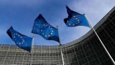 The European Union allows for the settlement of prices for Chinese electric cars