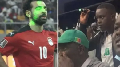 مباراة مصر والسنغال: وصول الأسد 13 وتحذيرات من الليزر